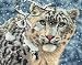 Dimensions Counted Cross Stitch, Snow Leopard