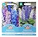 Mr Fothergill's Seeds Delphinium First Year Flowering Collection