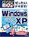 ぜったいデキます! Windows XP (パソコン楽ラク入門)