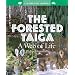 The Forested Taiga: A Web of Life (World of Biomes)
