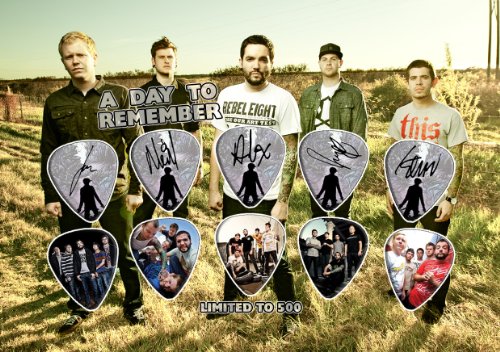 A Day To Remember 10 Guitar Picks Set Display