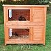 Trixie Natura Kaninchenstall, 2 Etagen,116x 65 x 111 cm