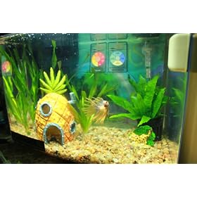 SpongeBob SquarePants� Bikini Bottom� Aquarium Ornaments