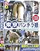 東京パンチラ娘03 [DVD]