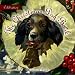 Celebration: The Christmas Dog Book (Celebration (Red Rock Press))