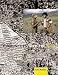 Susan Meiselas: Encounters with the Dani - Stories from the Baliem Valley