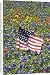 Canvas Prints of American Flag in from Danita Delimont