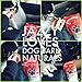 Dog Bark Naturals Beef Bark - All Natural Beef Jerky Dog and Puppy Treats, No Fillers, Responsibly Sourced and Made in The USA