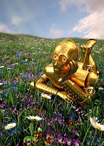 Star Wars C-3PO Cute Flower Funny Refrigerator Magnets Gift Decorative Kitchen Home Locker #W48