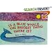 Is a Blue Whale the Biggest Thing There Is?