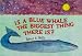 Is a Blue Whale the Biggest Thing There Is?