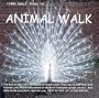 Animal Walk