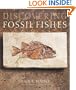 Discovering Fossil Fishes