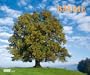 B�ume 2014