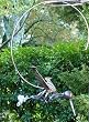 Cast Iron Swinging Hummingbird Wind Sculpture and Garden Statuary