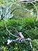 Cast Iron Swinging Hummingbird Wind Sculpture and Garden Statuary