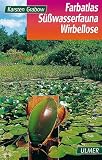 Farbatlas S��wasserfauna, Niedere Tiere