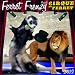 2012 Ferret Frenzy Wall calendar