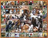 Jigsaw Puzzles