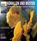 Korallen und W�sten. Sch�nheiten des Roten Meeres - Gianni Guadalupi
