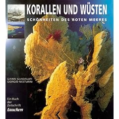 Korallen und W�sten. Sch�nheiten des Roten Meeres