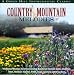 Craig Duncan - Country Mountain Melodies