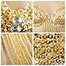 61A8mvhJU4L. AA75  BellyLady Belly Dance Tribal Sequined Bra Top, Size For 34C GOLD