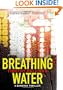 Breathing Water: A Bangkok Thriller (Poke Rafferty Thrillers)