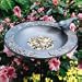 Chickadee Garden Bird Feeder