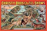 Art Poster, Christy Bros. 5 Ring Wild Animal Shows - 27.5 x 18.75