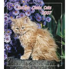Katzen 2007 Kalender.