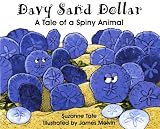 Davy Sand Dollar