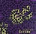 DreamWave Scribe