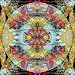 Couleur Royale de la Mandala, no. 1 Photographic Poster Print by Alaya Gadeh, 16x16