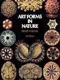 Art Forms in Nature (Picture Archives)