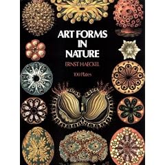 Art Forms in Nature