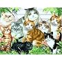 Cool Cats (60 pcs)