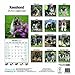 Keeshond 2014 Wall Calendar