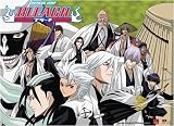 Bleach: Gotei 13 Captains Anime Wall Scroll