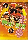REGGAE SPRING BREAK PART 2