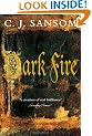 Dark Fire (Shardlake)