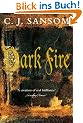 Dark Fire (Shardlake)