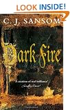 Dark Fire (Shardlake)