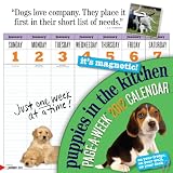Puppies in the Kitchen 2012 Calendar (Wall Calendar)