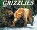Book Just Grizzlies: 2002 Calendar