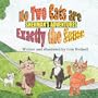 Sherman's Adventures: No Two Cats are Exactly the Same