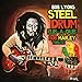 Steel Drum Rub-A-Dub: Bob Marley Tribute