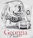 University of Georgia Bulldogs UGA Pride White Adult Short Sleeve T-Shirt