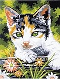 Junior Paint By Number Kit 9X12-Kitten