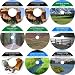 The Comprehensive Nine Hour No Money Down, Millionaire Making Real Estate Power Kit